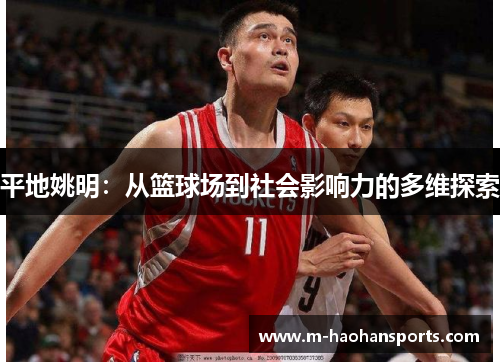 平地姚明：从篮球场到社会影响力的多维探索