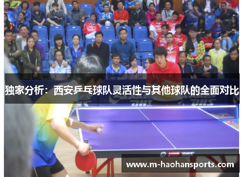 独家分析：西安乒乓球队灵活性与其他球队的全面对比